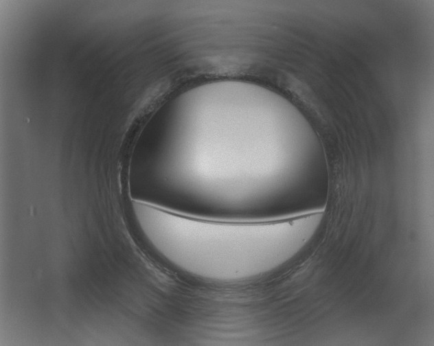 X0000068270685200604210941