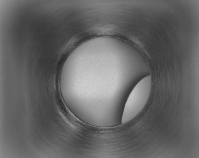 X0000068270686200604210941