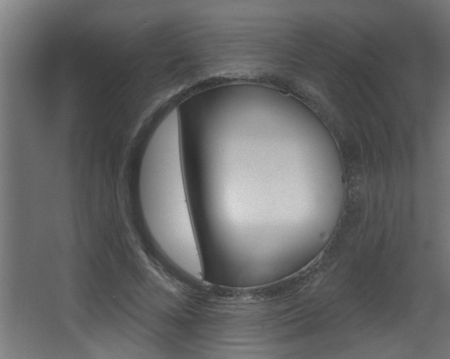 X0000068270688200604210941