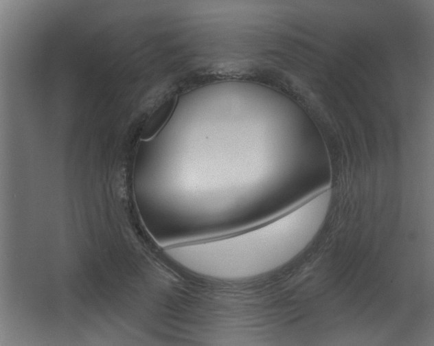 X0000068270689200604210941