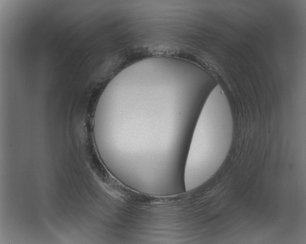 X0000068270690200604210941