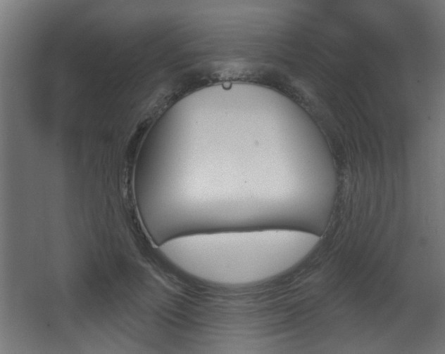 X0000068270691200604210941