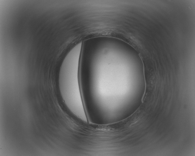 X0000068270693200604210941