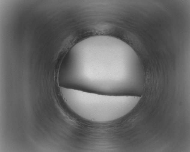 X0000068270694200604210941