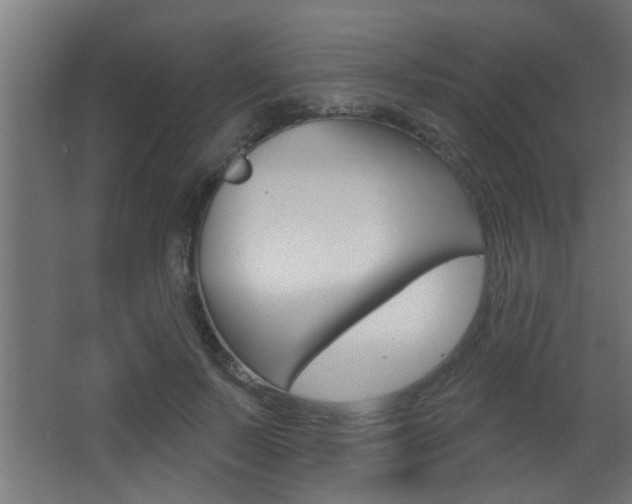 X0000068270695200604210940