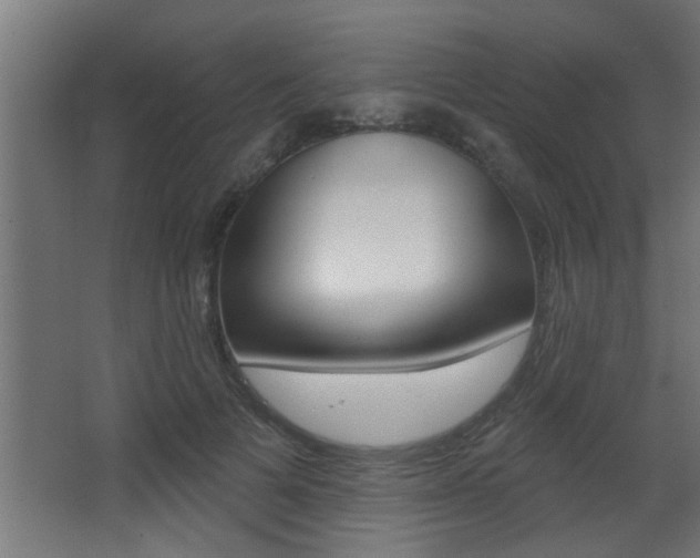 X0000068270697200604210940