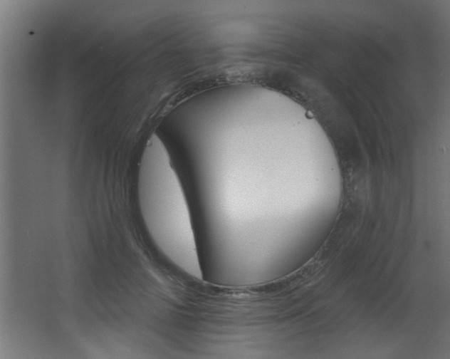 X0000068270698200604210940