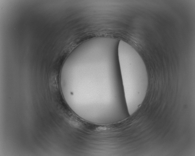 X0000068270699200604210940