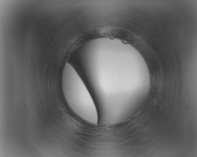 X0000068270702200604210940