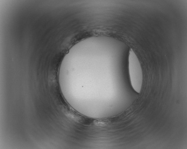 X0000068270706200604210940