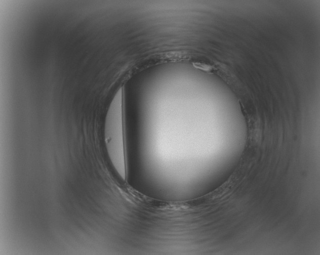 X0000068270712200604210940