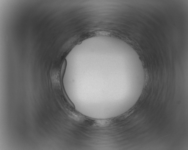 X0000068270713200604210940