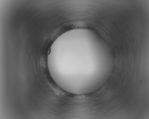 X0000068270715200604210940