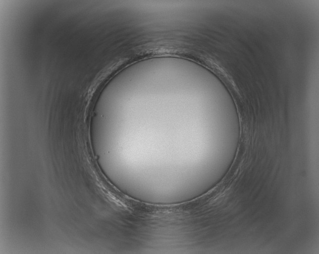 X0000068270721200604210939