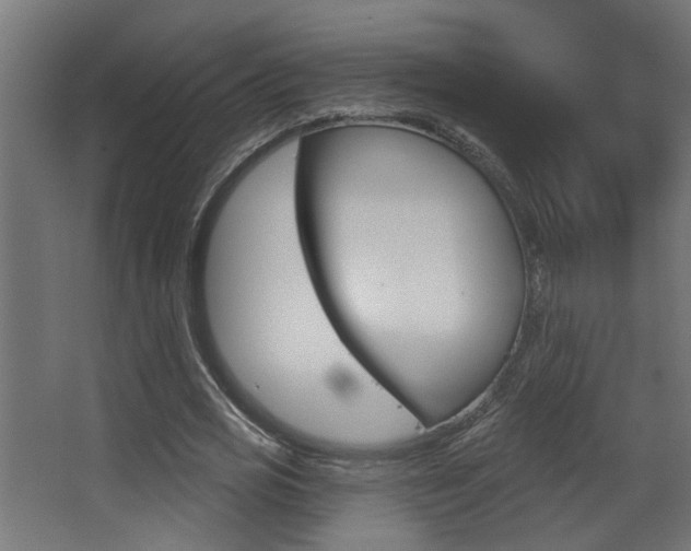 X0000068270725200604210939