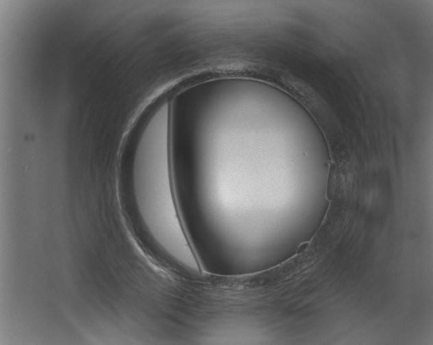 X0000068270728200604210939
