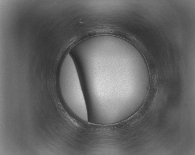X0000068270729200604210939