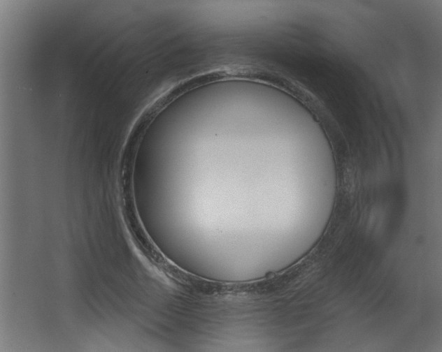 X0000068270730200604210939