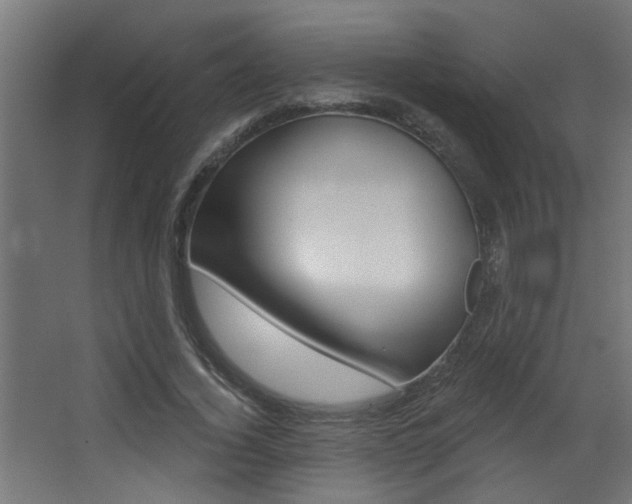 X0000068270732200604210939