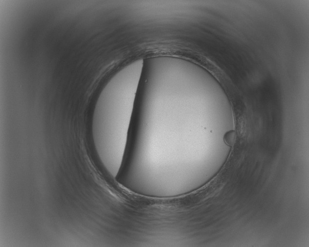 X0000068270733200604210939