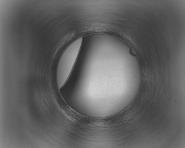 X0000068270738200604210940
