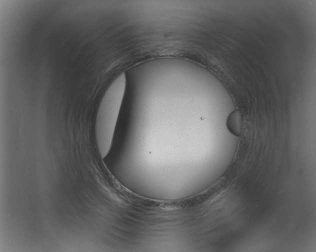 X0000068270741200604210940