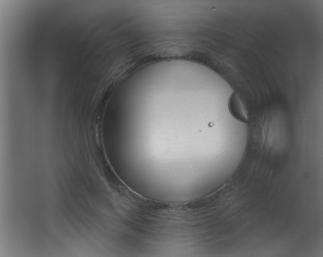 X0000068270743200604210940