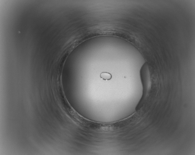 X0000068270744200604210940