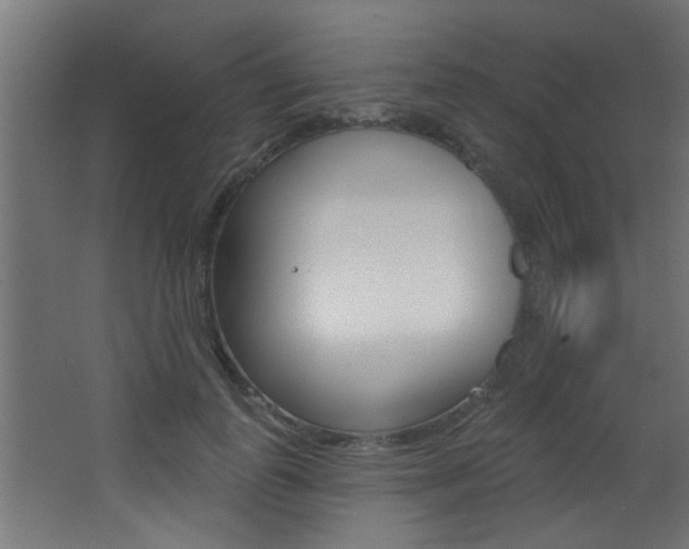 X0000068270747200604210940