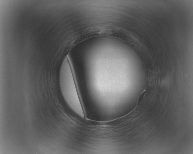 X0000068270748200604210940