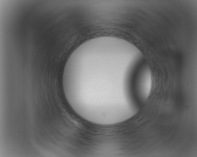 X0000068270750200604210940