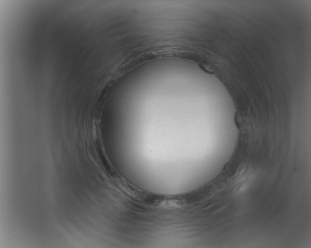 X0000068270751200604210940