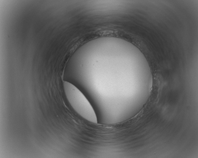 X0000068270753200604210940