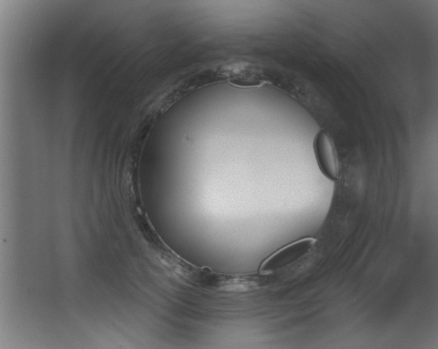 X0000068270754200604210940