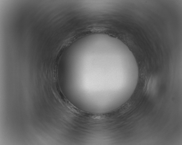 X0000068270755200604210940