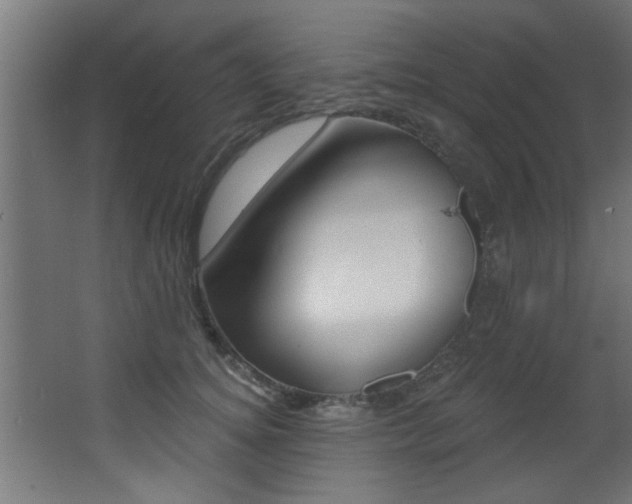 X0000068270756200604210940