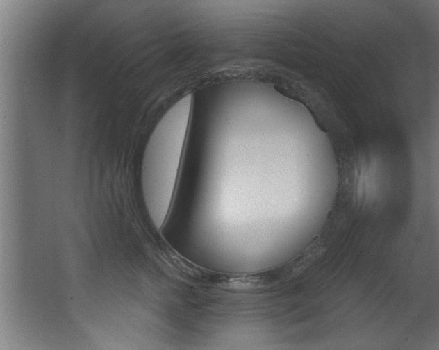 X0000068270758200604210940