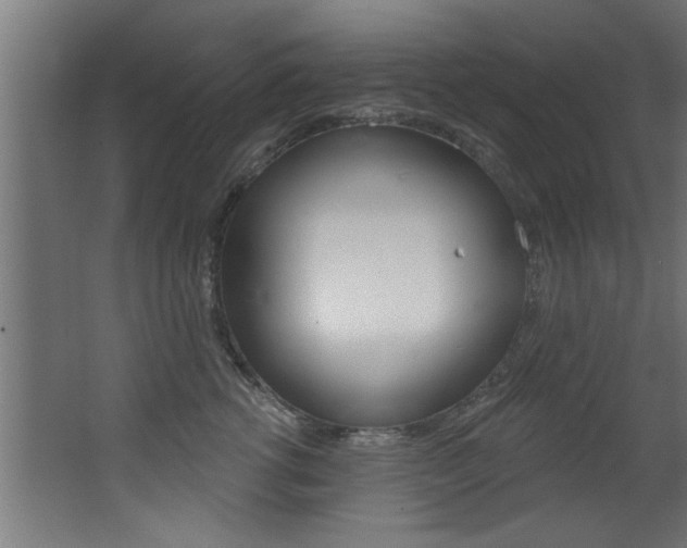 X0000068270762200604210940