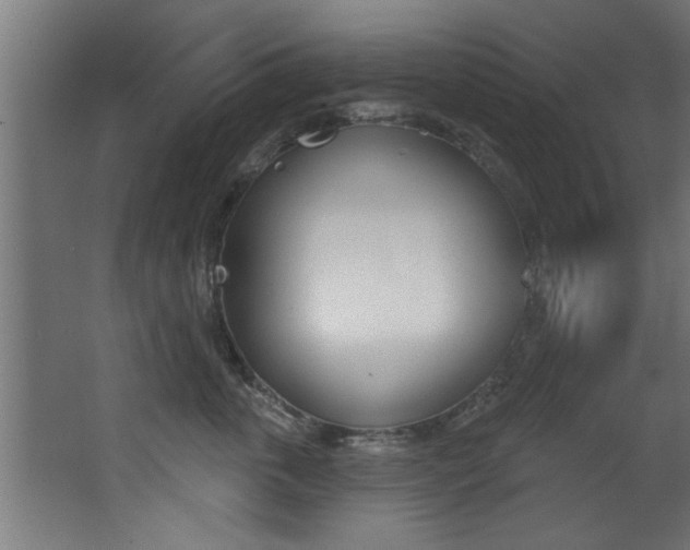 X0000068270763200604210940