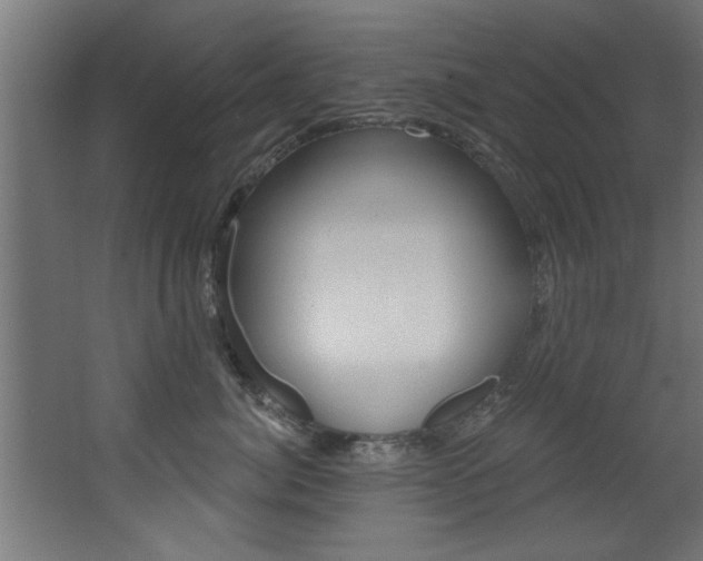 X0000068270764200604210940