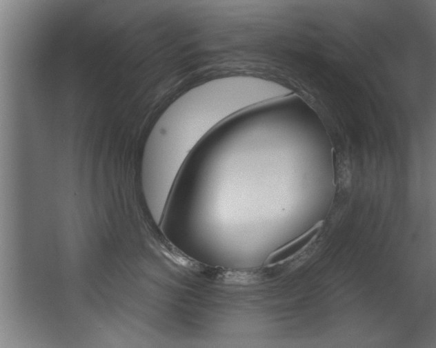 X0000068270766200604210940