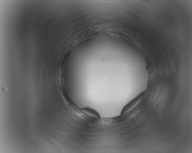 X0000068270767200604210940