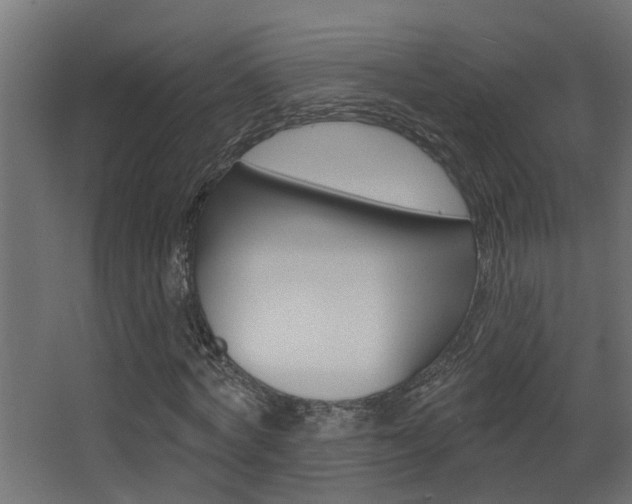 X0000068270772200604210939