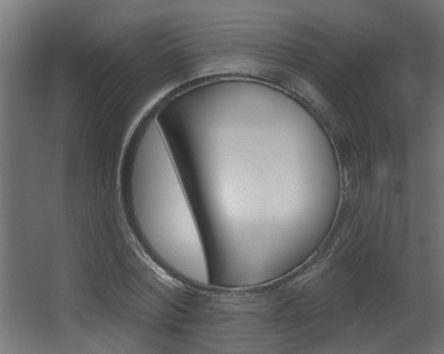 X0000068270780200604210939
