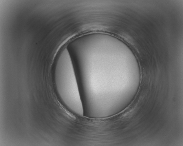 X0000068270782200604210939