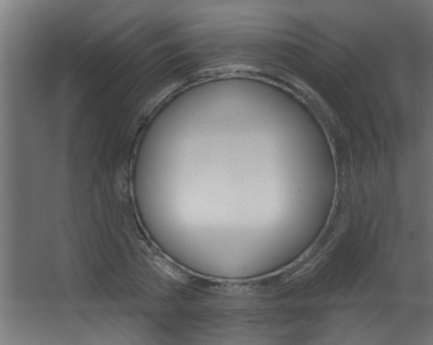 X0000068270785200604210939