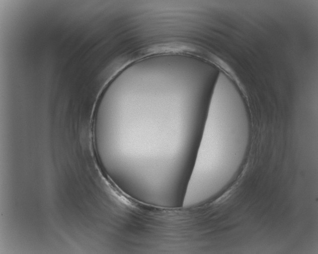 X0000068270802200604210939
