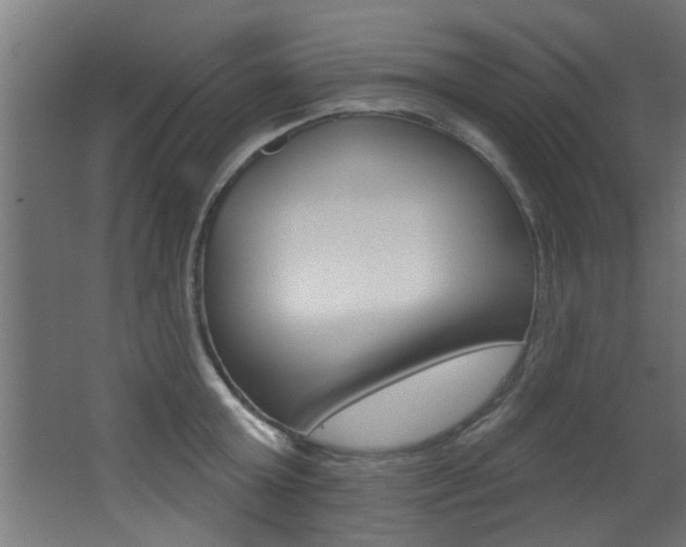 X0000068270803200604210939