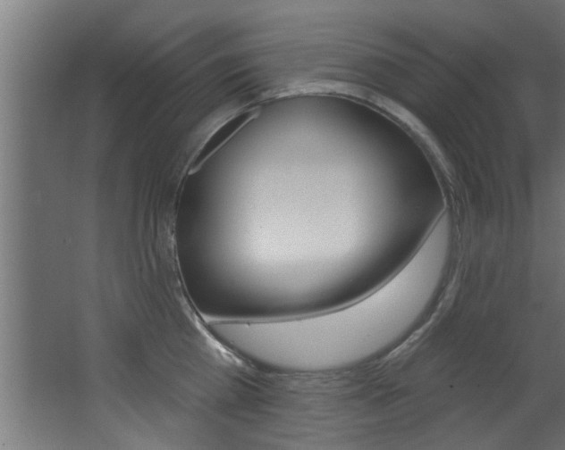 X0000068270809200604210939