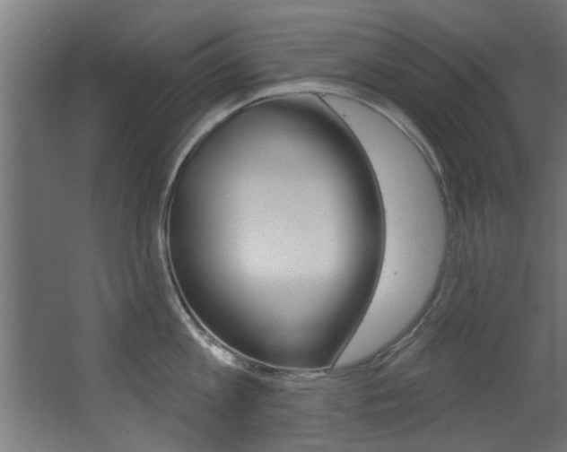 X0000068270813200604210938